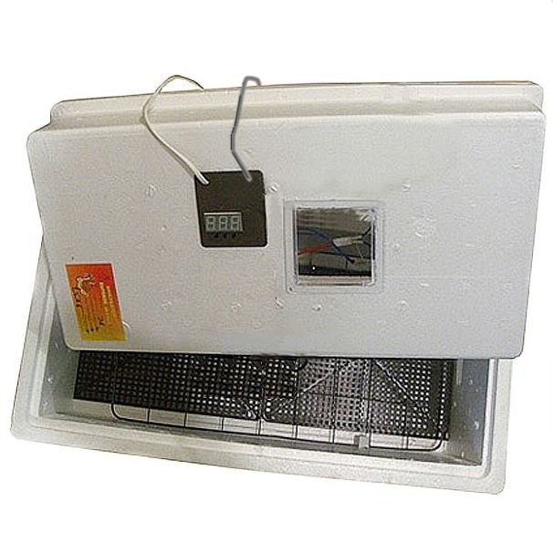 inkubator-nesushka-36-yaits-avtopovorot-tsifrovoy-termoregulyator-220v.JPG