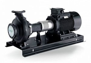 Насос консольный "LEO" LEN125-100-200D